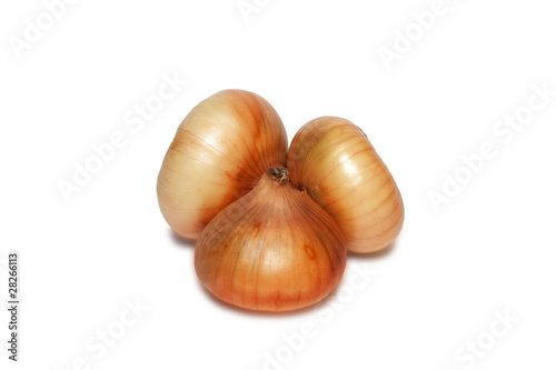 ripe onion on a white background