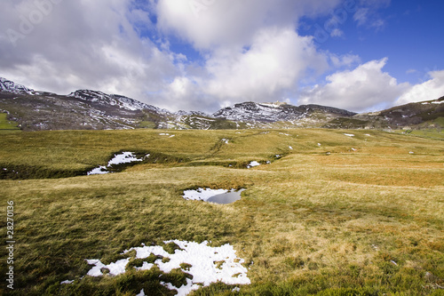 Tierra de Castilla photo