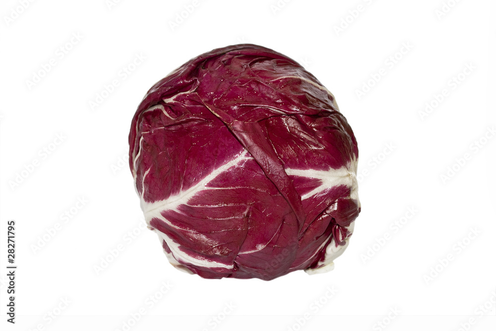 radicchio rosso tondo radicchio rosso tondo