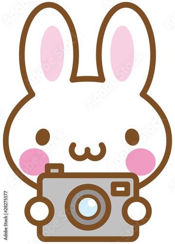 うさぎ　カメラ