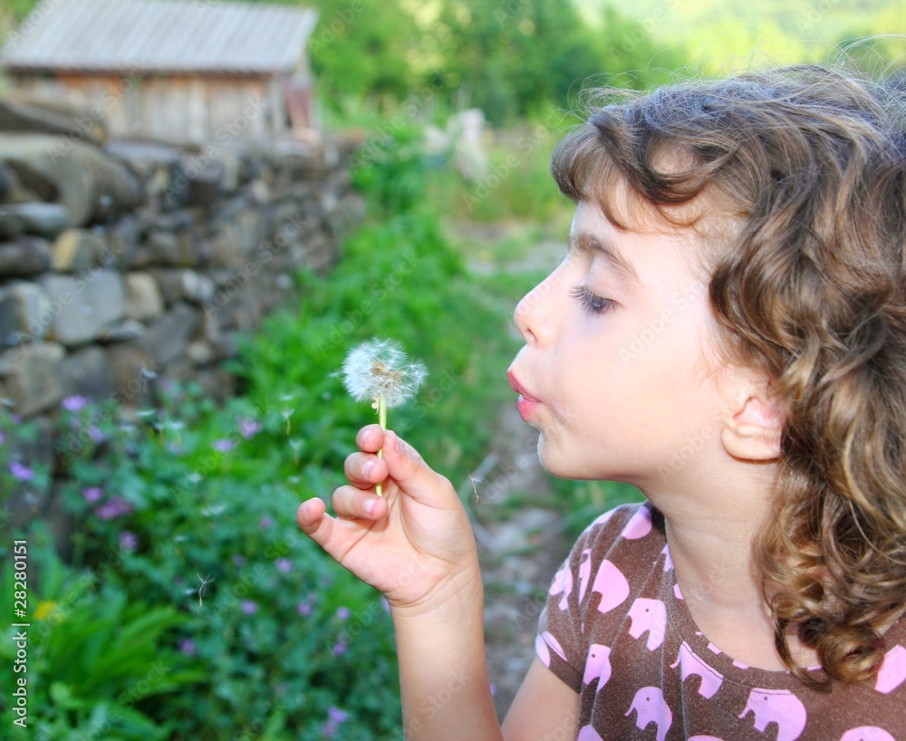 blowing dandelion girl in rural green outdoor blowing dandelion girl in rural green outdoor