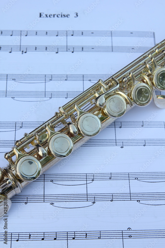 Obraz premium flute and note sheet