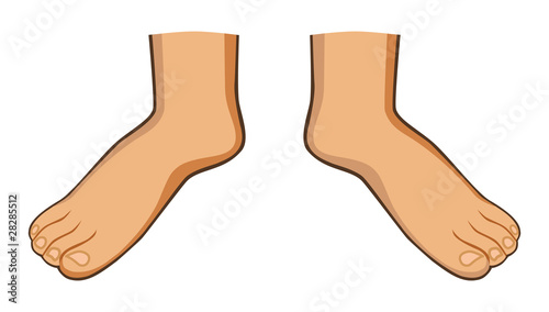 Two foots isolated on background