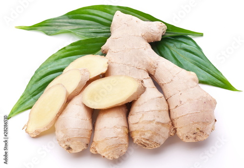 Fresh ginger with leaves isolated on white background.