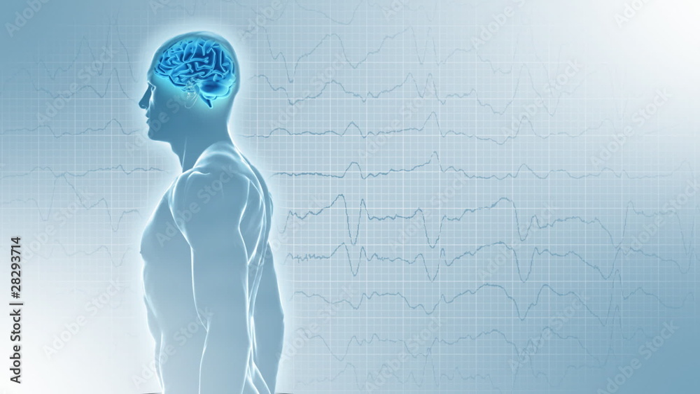 3d body with glowing brain on EEG background. Seamless loop.