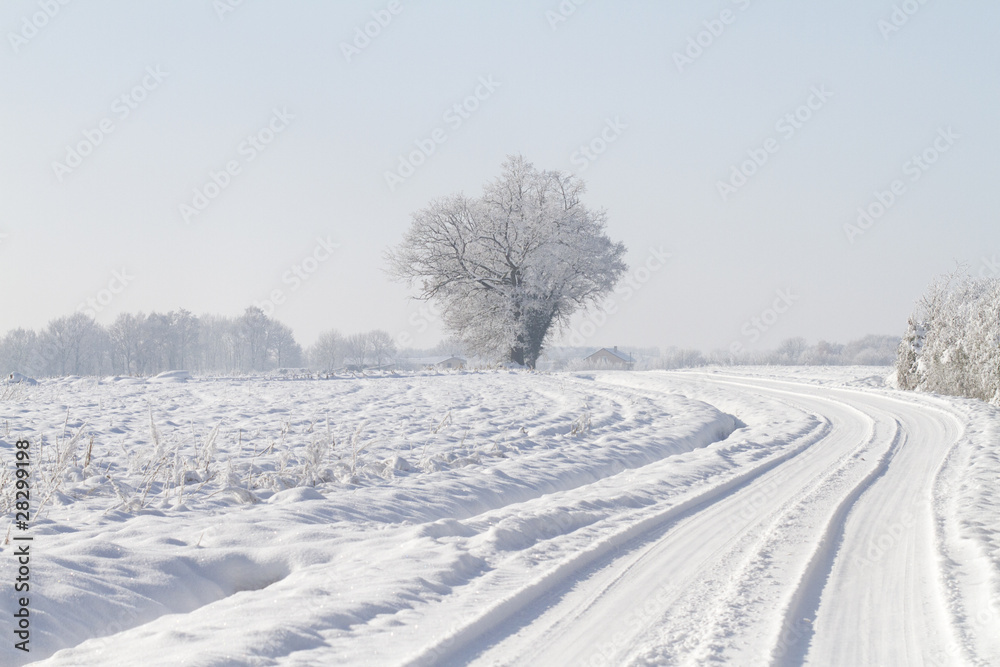 Fototapeta premium Routes enneigées