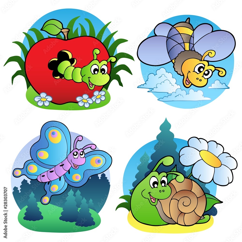 Various cute insect images 1 Various cute insect images 1