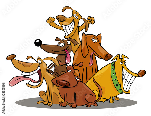 funny dogs