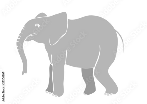 elefant - vector © siloto