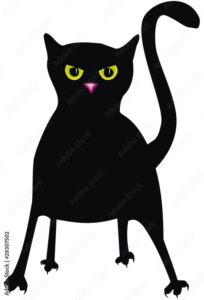Chat en colère