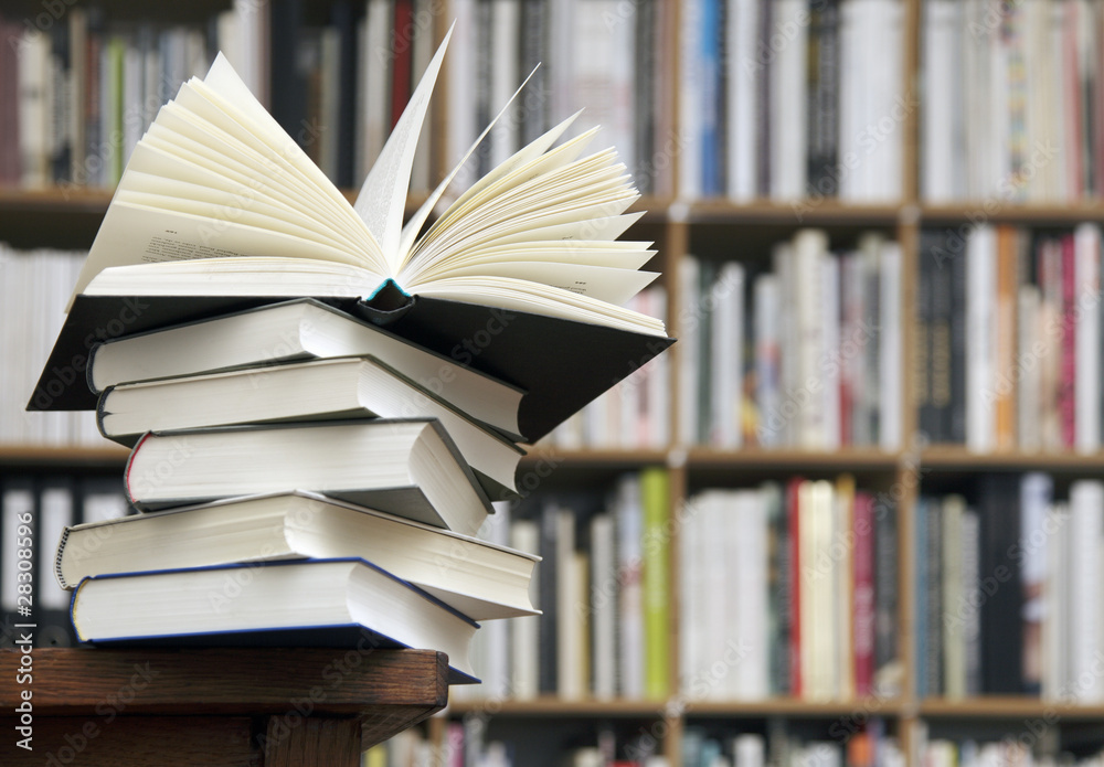 Naklejka premium Bücherregal