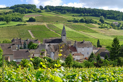 VILLAGE VITICOLE
