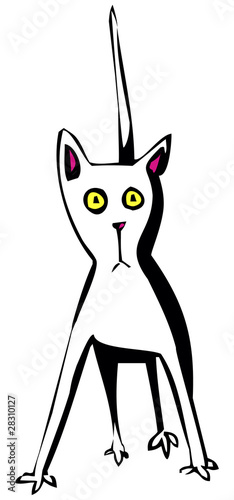 Funny cat