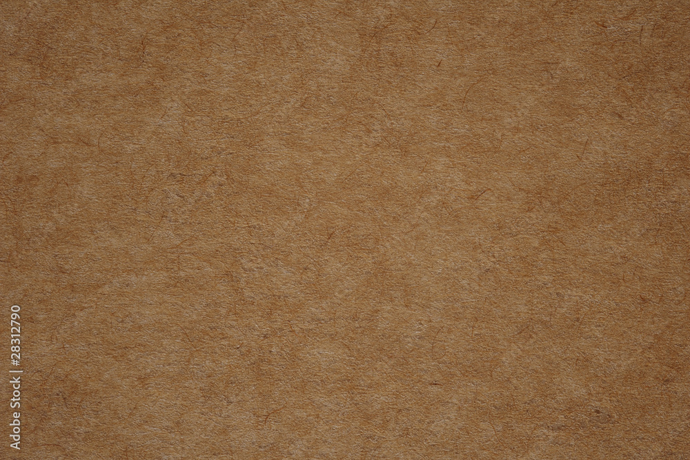 Cardboard texture Cardboard texture