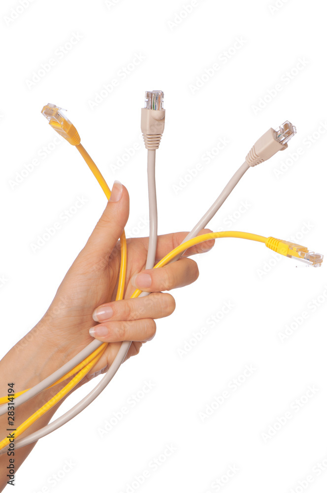 Fototapeta premium LAN cords