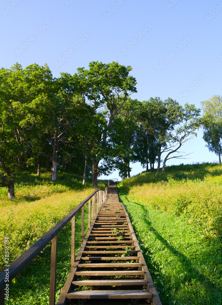 ladder to the hill, summer
