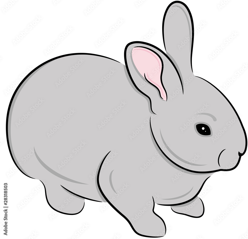 Rabbit Rabbit