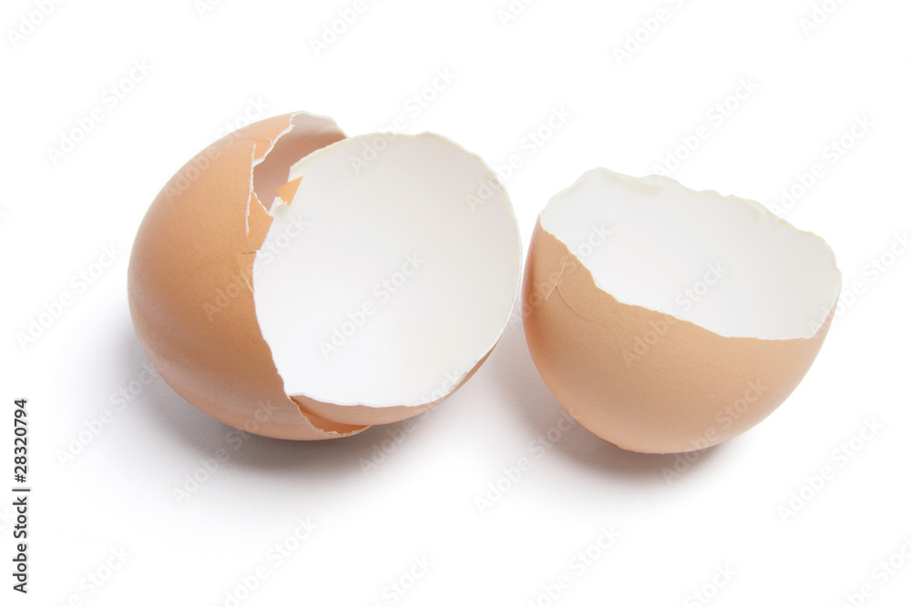 Egg Shells