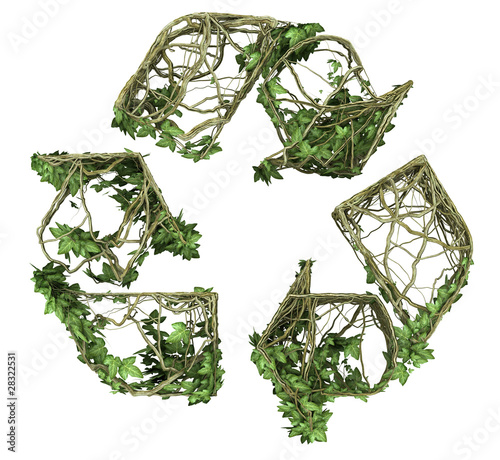 Ivy nature recycled symbol