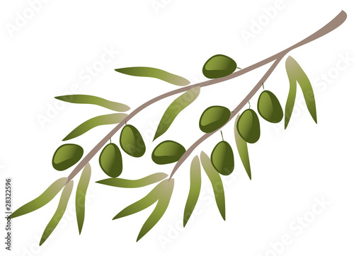 A branch of olive tree.
