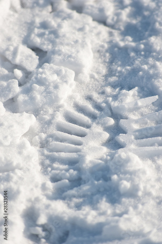 Im Schnee