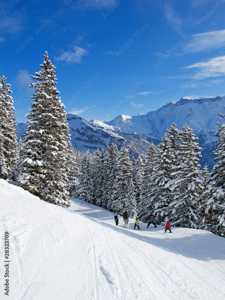 Skiing slope Skiing slope