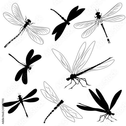 Set of silhouettes of dragonflies, tattoo