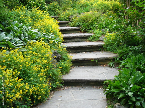 Stone steps
