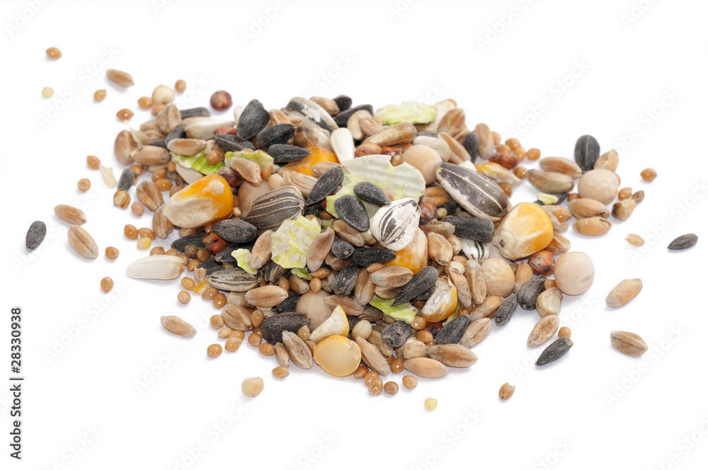 Obraz premium grains