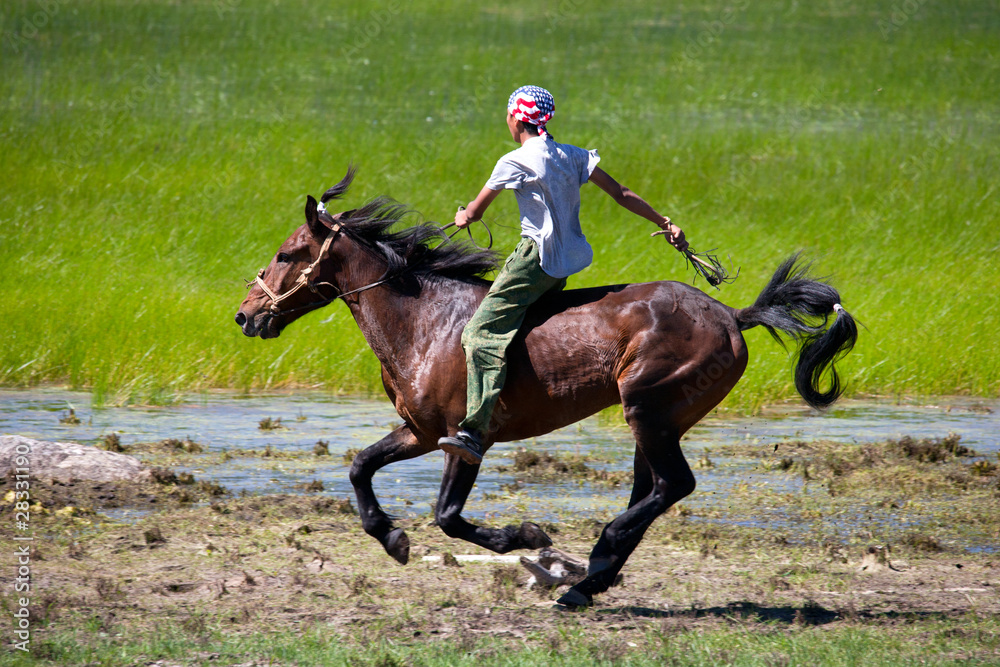 Obraz premium on horseback across the steppe
