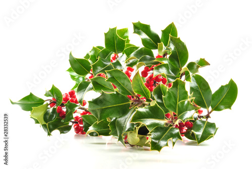 Mistelzweig auf weissem Hintergrund