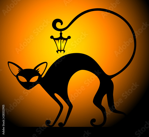 black cat with lamp