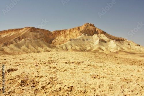 negev desert