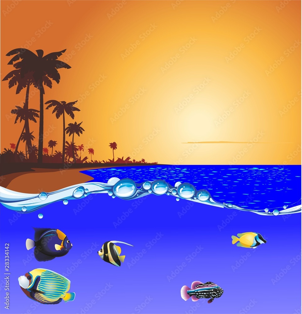 puesta peces playa