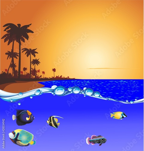 puesta peces playa