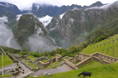 Machu Picchu im Nebel