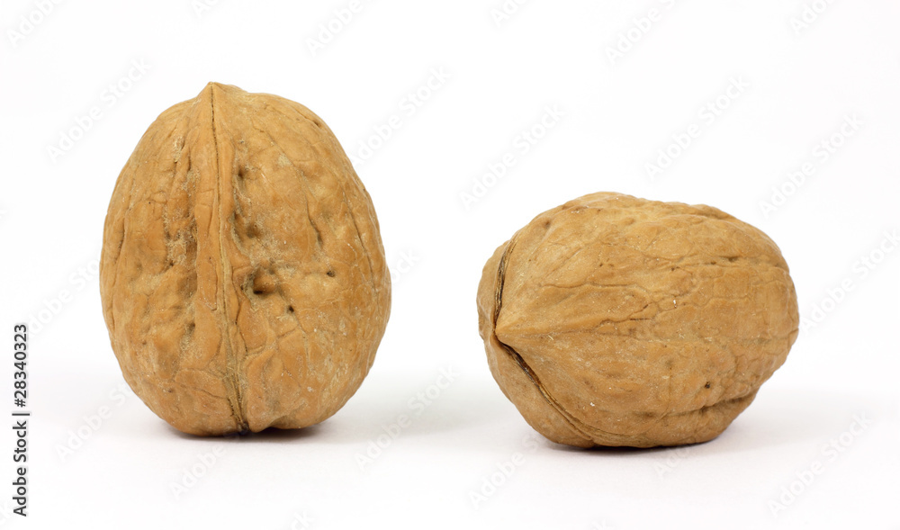 Two walnuts on a white background Two walnuts on a white background