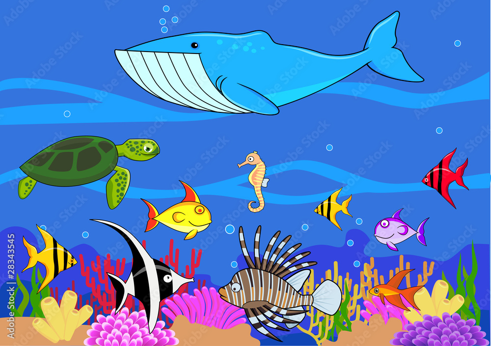 Obraz premium Sealife cartoon