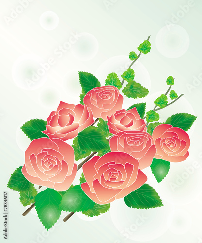 バラの花束Ⅰ
