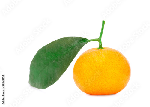 Tangerine fruit with green leaf on white background
