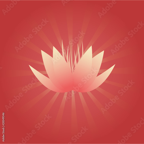 Lotus flower on red background with radial beams