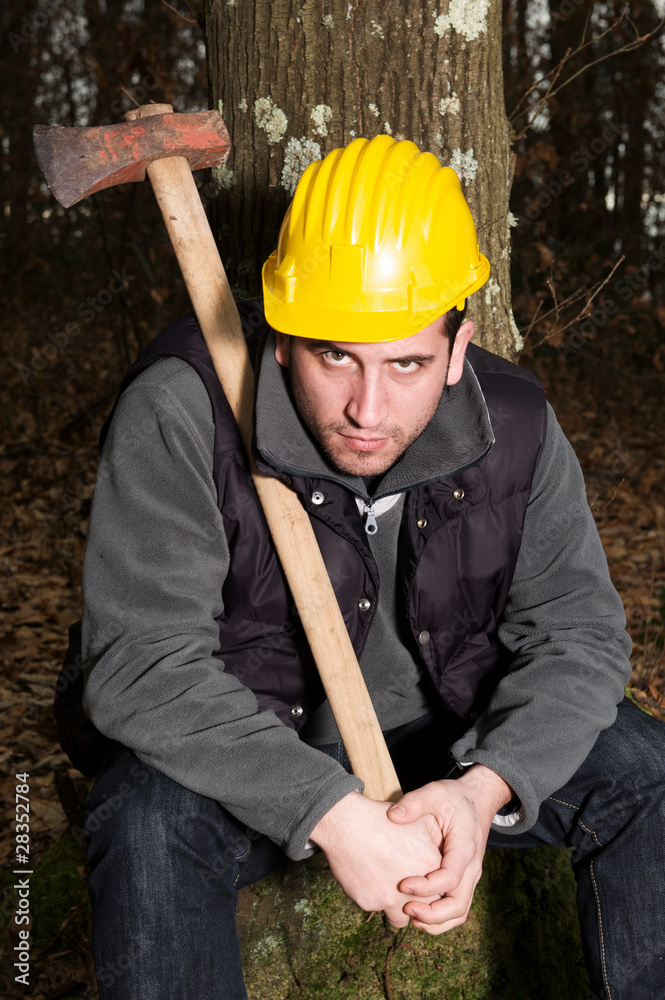 woodcutter woodcutter