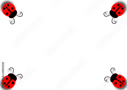 cornice di coccinelle