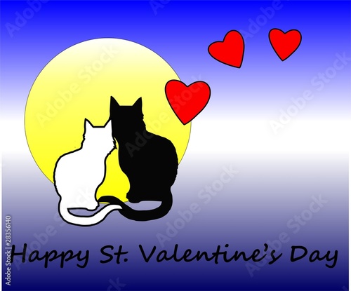 Cats in love