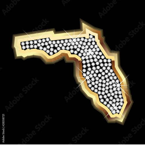 Florida bling map