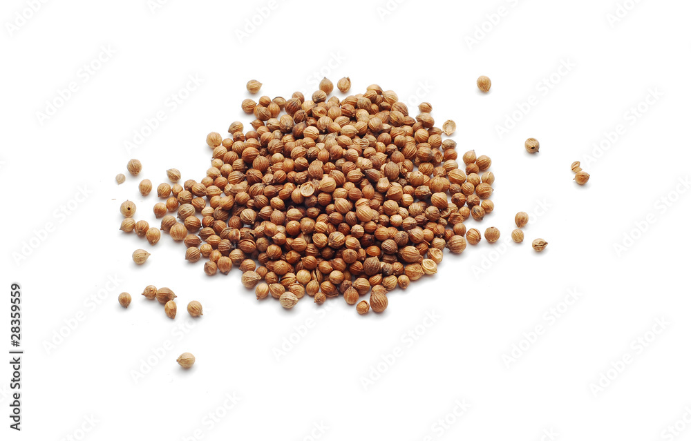 coriander coriander