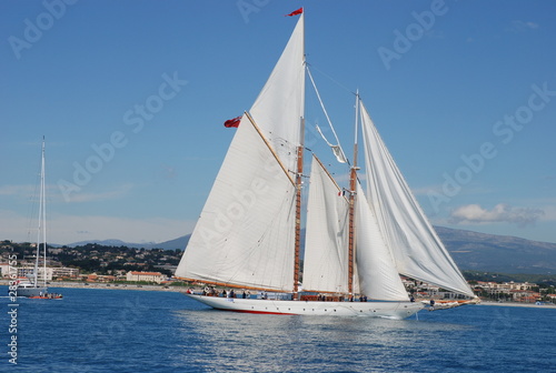 Classic wood yacht sailing 