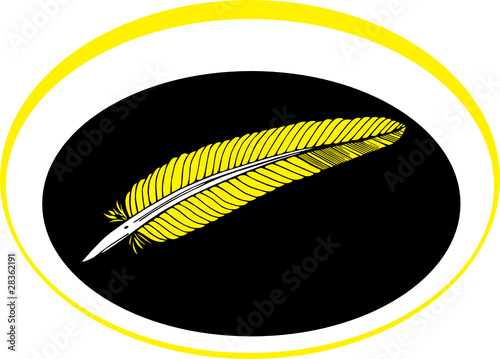 feather vector illustration