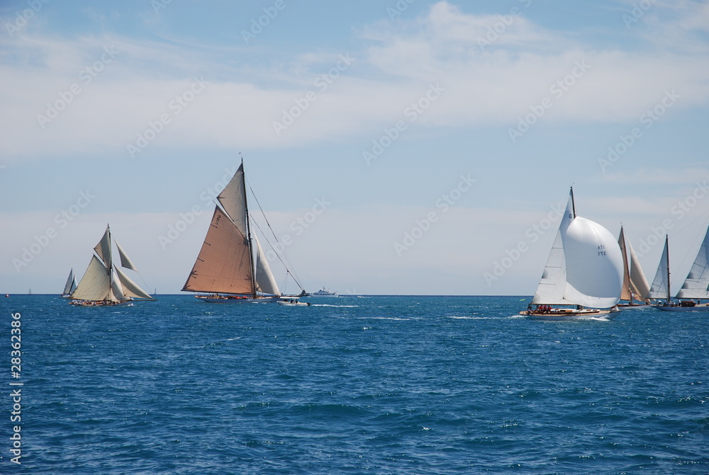 classic wood yacht sailing regatta