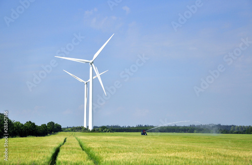 Wind turbine farm and wheat field